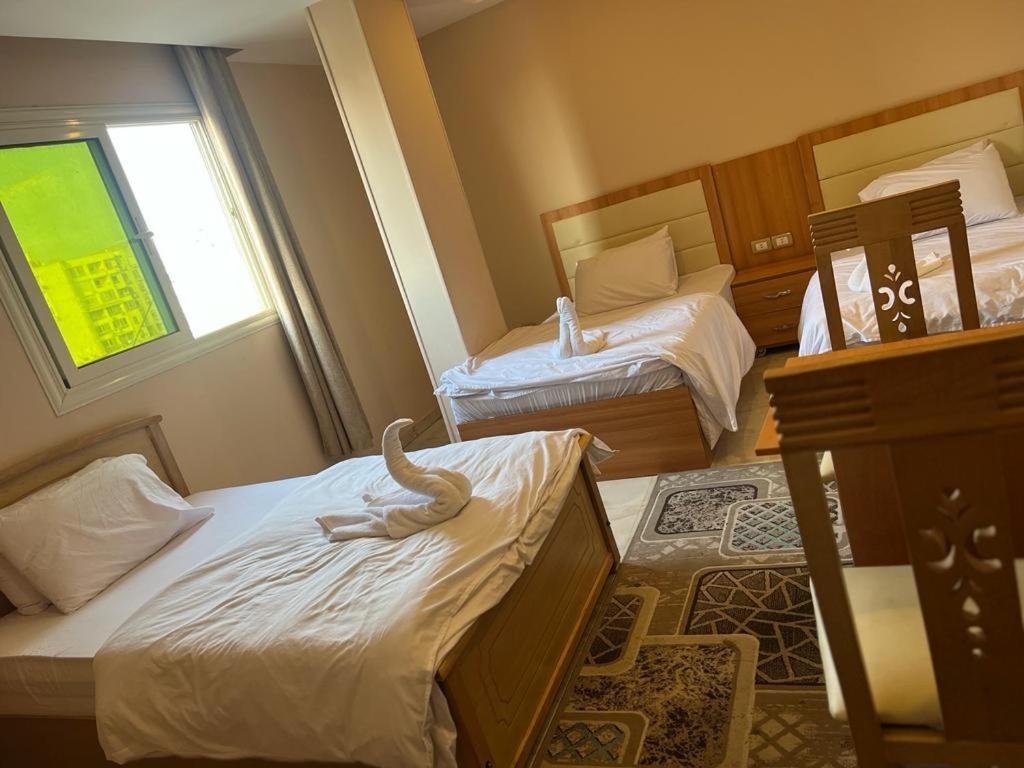 Grand Pyramids View Hotel Каир Экстерьер фото